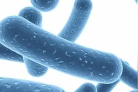 吃完饭就恶心想呕、打嗝、腹胀，到医院检查，发现了这个！图片