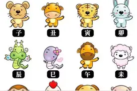 真是绝了！上海的地名竟然可以凑齐12生肖！你都认识吗？图片
