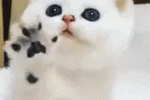 你别动好吗，你一动我血槽都空了！图片