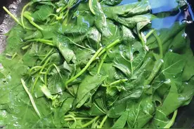 凉拌红薯尖的做法图片