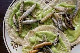 细数那些可以食用的虫子，你吃过几种！食用昆虫已经是一种时尚！图片