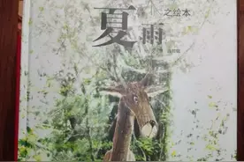 绘本赏析:  美轮美奂——《木之绘本-夏雨》图片