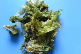 中草药在肝病治疗中的抗病毒、降酶降脂、抗肝纤维化等功能举例图片