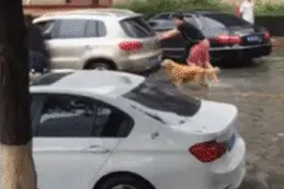 还能不能好好接吻？图片