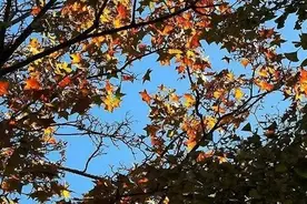 该怎样憧憬你，九月!图片