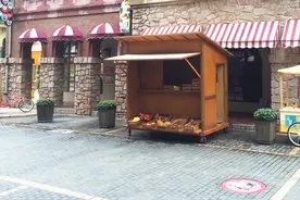 简单说说法式遮阳篷图片