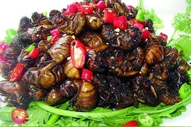 农村的这些虫子，到了城里竟然成了餐桌上的美味图片