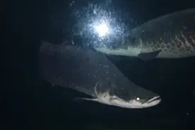 年少的我们总想在火车上邂逅一段浪漫的爱情图片