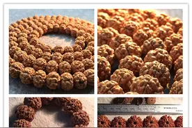 小金刚菩提子的纹路大全图片