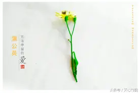 梦到你的时候，雨越下越大图片