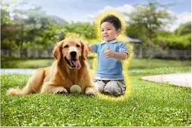 秋天来了，如何提高宝宝免疫力，妈妈们看过来图片