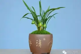 从教的点滴感悟：“晓之以理，动之以情！”图片