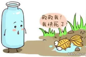 一只装满情水的瓶子的心声历程图片