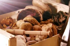 松露，黄金价格的顶级美食材料，英国人却拿去炒鸡蛋了视频封面