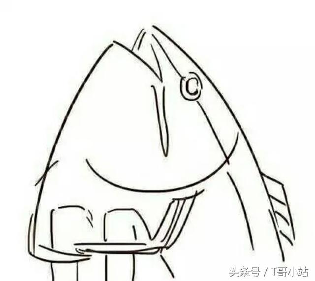 从零开始的动漫术语文字解
