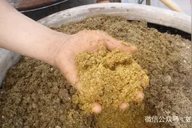 曝光：如何用鸡粪做饲料喂猪吗？图片