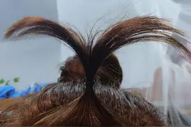 刘海打理小妙招，让你度过刘海尴尬期图片