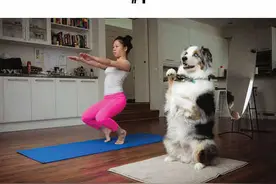 狗狗陪主人练瑜伽，真是为难宝宝了！图片
