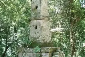 论手纸的进化图片