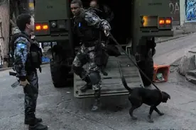 巴西动用了海军陆战队的食人鱼IIIC轮式步兵战车打击毒贩图片