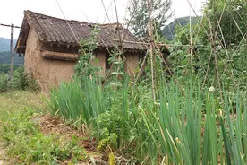 “秦岭小院”深山里的土房子，都在这里，哪一款是您的钟爱？图片