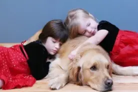 萌娃与宠物的温馨日常，分分钟融化你的心~图片