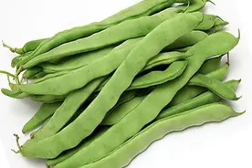 哪种豆角毒性最大？