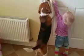 萌犬与我：好想也有只狗狗陪我一起吃饭，一起睡觉，一起长大。图片