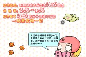 漫画：一分钟读懂验孕棒怎么用图片
