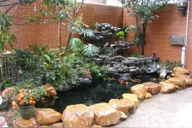 家中院子像这样来设计鱼池，往下三代都能富贵有余！图片