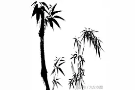 命理师如不心静，则也会制造麻烦图片