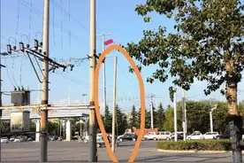 已解决关于“工业园大门口路边无用电杆”问题的回复图片