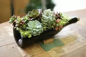 如何用玻璃瓶制作花瓶呢？图片