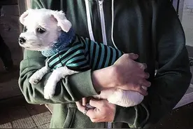 男生的这些举动在女生眼里是怎样的图片