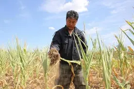 农业 | 干旱来袭，有图有真相！中国11省市区现干旱迹象，内蒙古直接经济损失高达83亿！图片