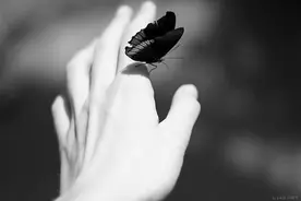 老婆说我给不了她想要的，无论是精神上的还是物质上的图片