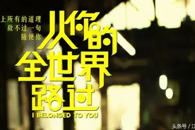 从你的全世界路过图片