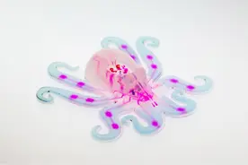 哈佛成功研发软体机械章鱼Octobot，可自主运动图片