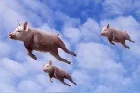 养猪要致富有套路，看看温氏怎么做图片