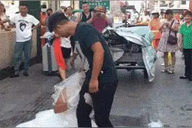 我是真的爱你的，不要走图片