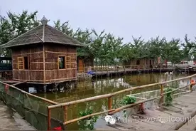 如何经营精品农庄？图片