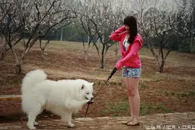 20岁花一样的年龄，到底还缺什么？图片