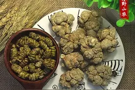 三七功效之秋季心脑血管养护图片