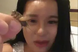 韩熙雅直播生吃虫企图超越贝爷，然而功力不及贝爷的百分之一图片