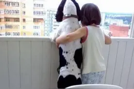 搞笑狗狗合集.我们一起去看山，看水，看世界图片