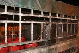 调查丨潲水都去哪儿了？洪山城管开展餐厨垃圾废弃物集中执法 ！图片
