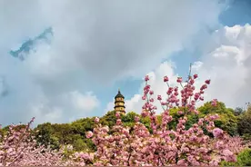 在镇江读大学，你必须知道的50个技巧！图片