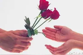 教师节，送给老师的花图片