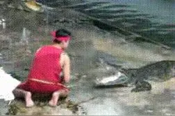 每日一笑：把手放在鳄鱼嘴巴里这种活，真是刺激！图片