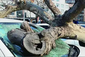 大风预警时！ 停车的时候千万要注意！图片